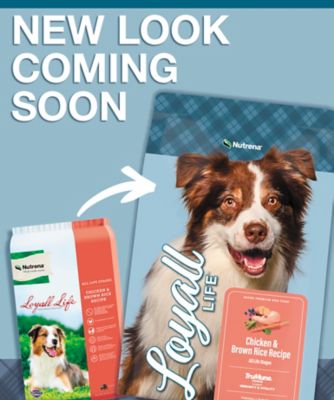 Image showing  All Life Stages Chicken and Brown Rice Recipe Dry Dog Food, 40 lb. Bag