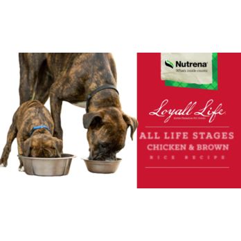 Loyal life dog sales food