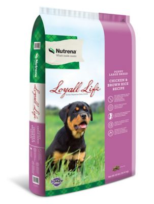 Nutrena Loyall Life Large Breed Puppy Chicken and Brown Rice Recipe Dry Dog Food High quality! My 4 month old Rottweiler loves it