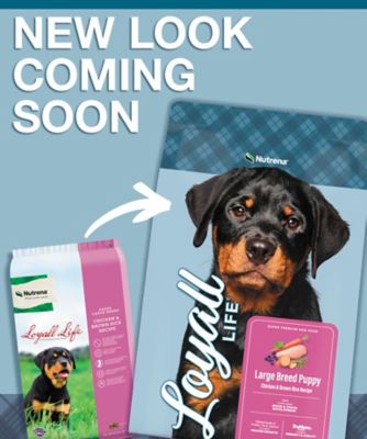 Image showing  Large Breed Puppy Chicken and Brown Rice Recipe Dry Dog Food, 40 lb. Bag