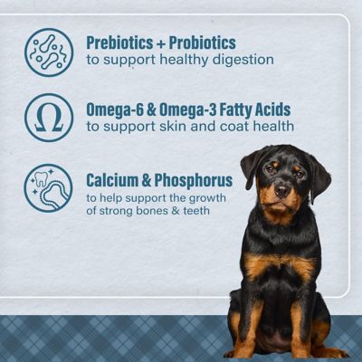 Image showing  Large Breed Puppy Chicken and Brown Rice Recipe Dry Dog Food, 40 lb. Bag