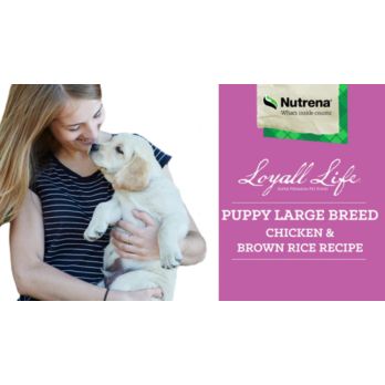 Nutrena puppy best sale