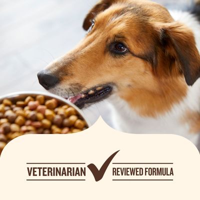 Image showing  Adult Real Chicken and Vegetables Recipe Dry Dog Food, 40 lb. Bag