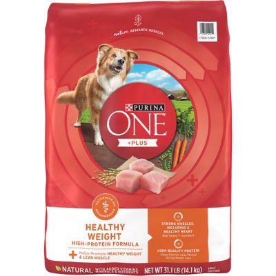 Purina ONE Plus Healthy Weight High-Protein Dog Food Dry Formula Healthy but delicious - My dogs love it!