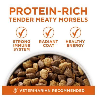 Image showing  Plus Adult Healthy Weight High-Protein Turkey Formula Dry Dog Food, 31.1 lb. Bag
