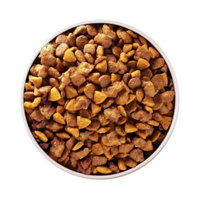 Image showing  Plus Healthy Puppy High-Protein Chicken Formula Dry Dog Food