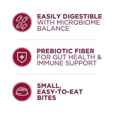 Image showing  Small Bites Beef and Rice Formula High Protein Dry Dog Food