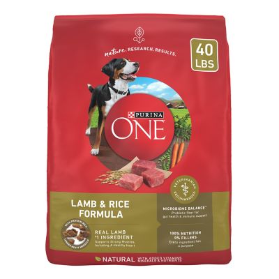 Purina ONE SmartBlend Adult Natural Lamb and Rice Formula Dry Dog Food