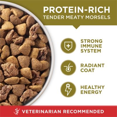 Image showing  SmartBlend Adult Natural Lamb and Rice Formula Dry Dog Food