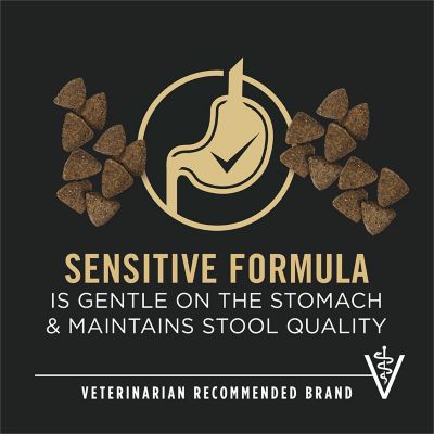 Image showing  High Protein Sensitive Skin & Sensitive Stomach Lamb & Oat Meal Formula Dry Dog Food