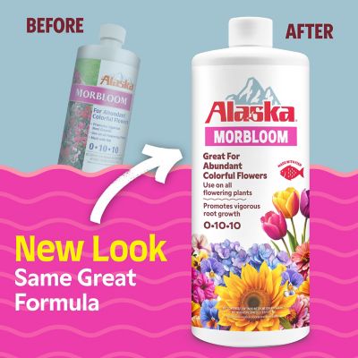 Image showing  1 qt. Morbloom 0-10-10