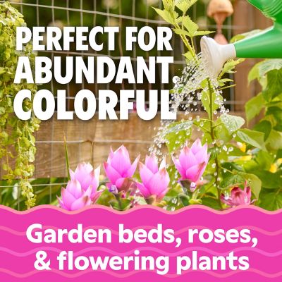 Image showing  1 qt. Morbloom 0-10-10