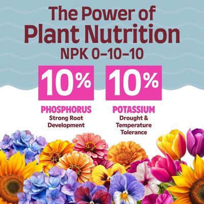 Image showing  1 qt. Morbloom 0-10-10