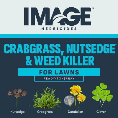 Image showing  32 oz. Kills Nutsedge RTS
