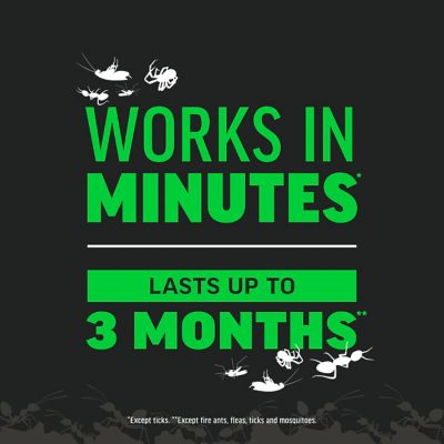 Image showing  32 oz. Quick Kill Outdoor Insect Killer Concentrate