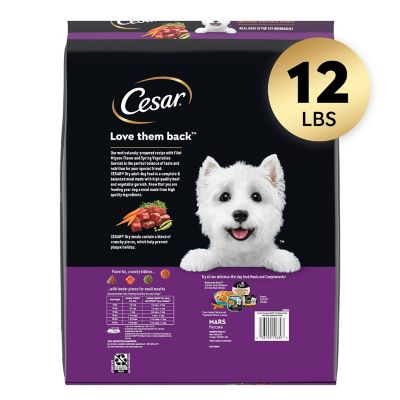 Image showing  Small Breed Adult Beef and Vegetables Recipe Dry Dog Food