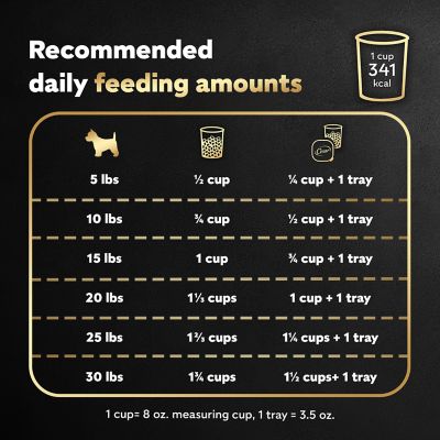 Image showing 8 th Cesar Small Breed Adult Beef and Vegetables Recipe Dry Dog Food