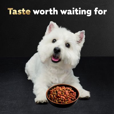 Image showing  Small Breed Adult Beef and Vegetables Recipe Dry Dog Food