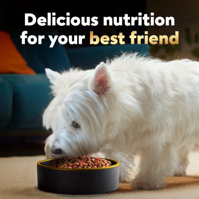 Image showing  Small Breed Adult Beef and Vegetables Recipe Dry Dog Food