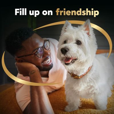 Image showing 5 th Cesar Small Breed Adult Beef and Vegetables Recipe Dry Dog Food