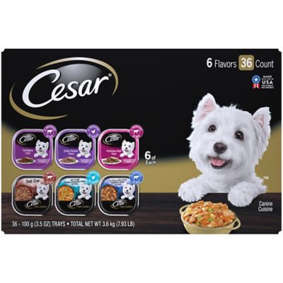 cesar cat food