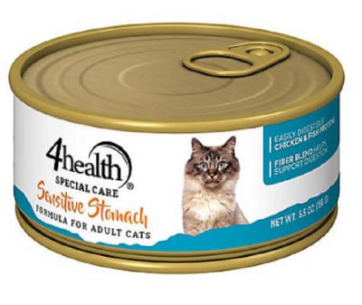 sensitive stomach cat food