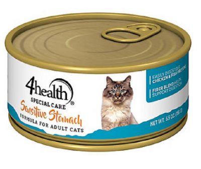 wet kitten food for sensitive stomach