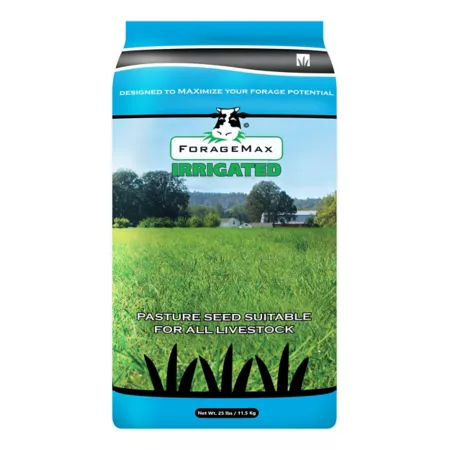 DLF Coated Grass Seed for Irrigated Pastures 25 lb 1 Acre Grass Seed