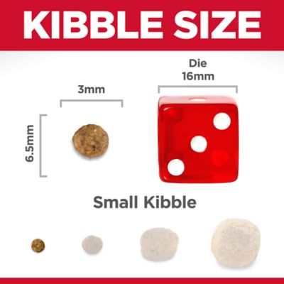 Image showing  Adult Small and Mini Sensitive Stomach and Skin Chicken Recipe Dry Dog Food