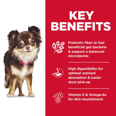 Image showing  Adult Small and Mini Sensitive Stomach and Skin Chicken Recipe Dry Dog Food