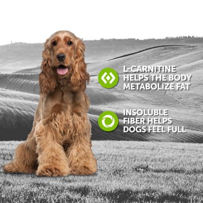 Image showing  Adult Weight Management Wet Dog Food, 13.2 oz.