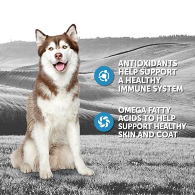 Image showing  Adult Sensitive Skin Formula Wet Dog Food, 13.2 oz.