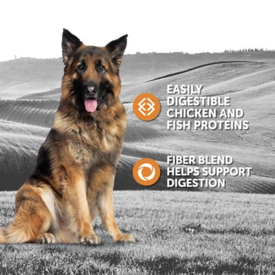 Image showing  Adult Sensitive Stomach Formula Wet Dog Food, 13.2 oz.