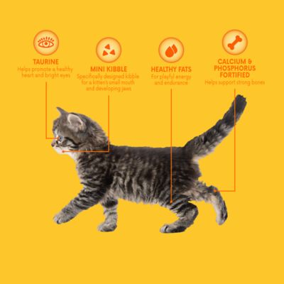 Image showing  Kitten Indoor/Outdoor Mix Chicken Formula Dry Cat Food, 15 lb. Bag