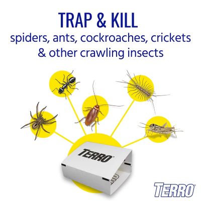 Image showing  Spider and Insect Traps, 4-Pack