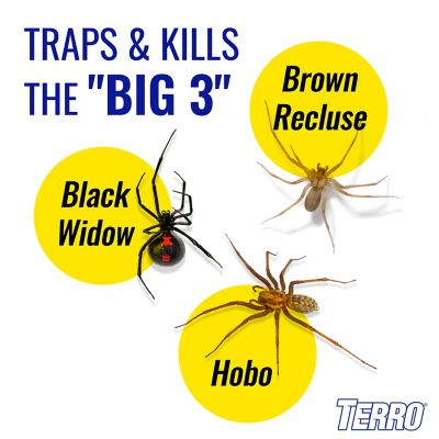 Image showing  Spider and Insect Traps, 4-Pack