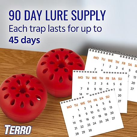 Terro Fruit Fly Traps Set of 2