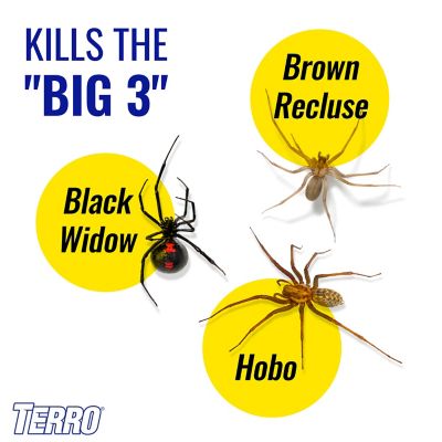 Image showing  Spider & Ant Killer Spray