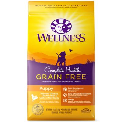 salmon dog food with grain