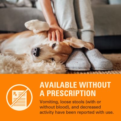 Image showing  WormX Plus 7 Way DeWormer Dog SM 6CT