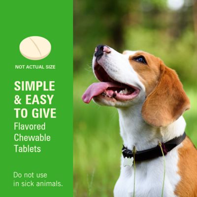 Image showing 5 th Sentry WormX Plus 7 Way DeWormer Dog SM 6CT