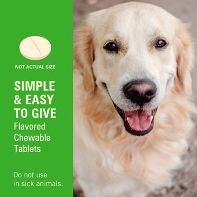 Image showing  WormX Plus 7 Way DeWormer Dog Large 6 ct.