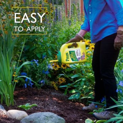 Image showing  5.625 lb. Garden Weed Preventer Plus Plant Food