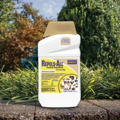 Image showing  32 oz. Repels-All Animal Repellent Concentrate
