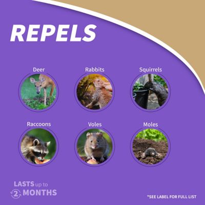 Image showing  32 oz. Repels-All Animal Repellent Concentrate