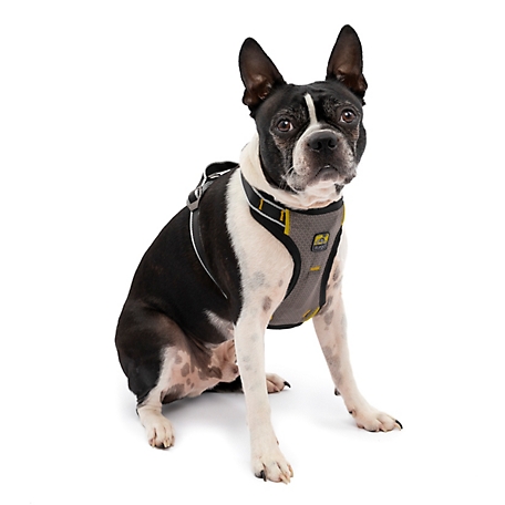 Kurgo Impact Dog Seatbelt Harness, for Dogs up to 25 lb., Small
