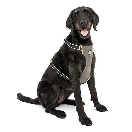 Kurgo Impact Dog Car Harness, Crash Tested Dog Car Harness, Pet Seatbelt Harness, Up to 108 lbs, Black/Charcoal (X-Large)
