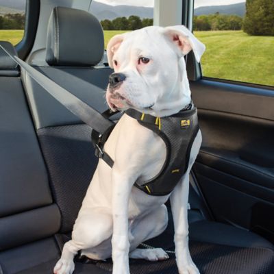 Image showing  Impact Dog Car Seat Harness, Crash Tested, Extra Large, Up to 108 lb., Black/Charcoal
