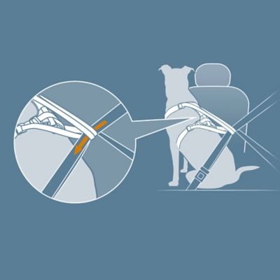 Image showing 7 th Kurgo Impact Dog Car Seat Harness, Crash Tested, Extra Large, Up to 108 lb., Black/Charcoal