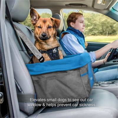 Image showing  Dog Booster Seat